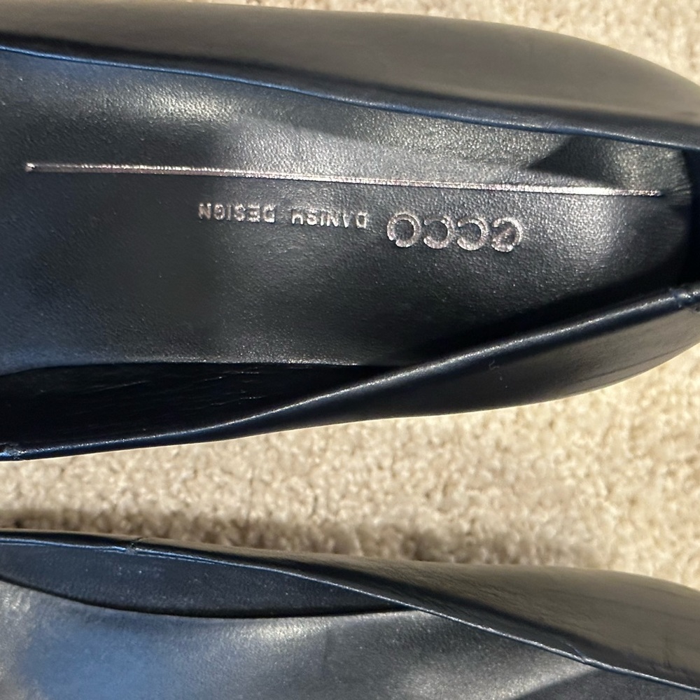 Ecco Heals - image 3